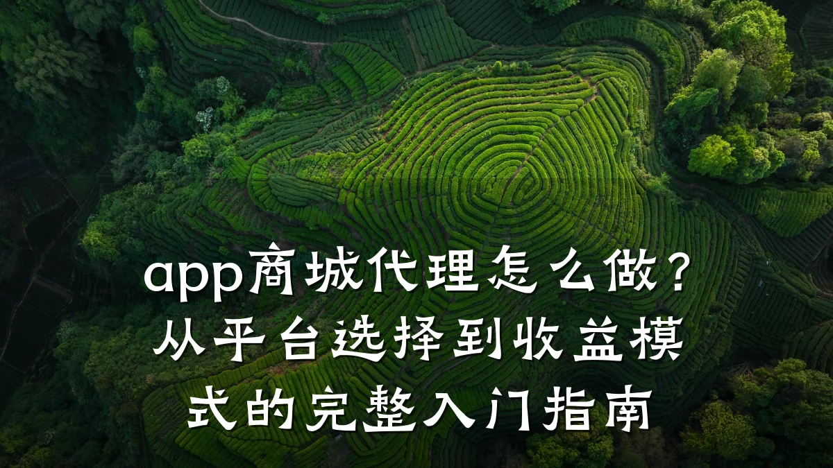 app商城代理怎么做？从平台选择到收益模式的完整入门指南