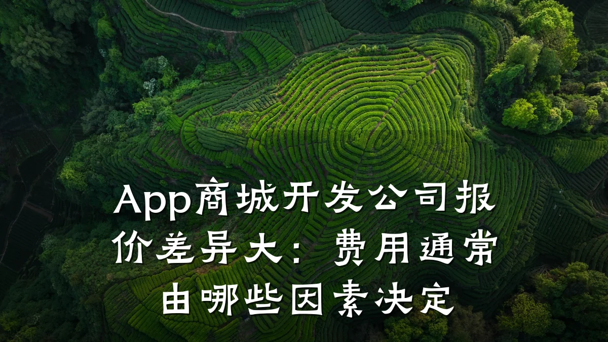 App商城开发公司报价差异大:费用通常由哪些因素决定