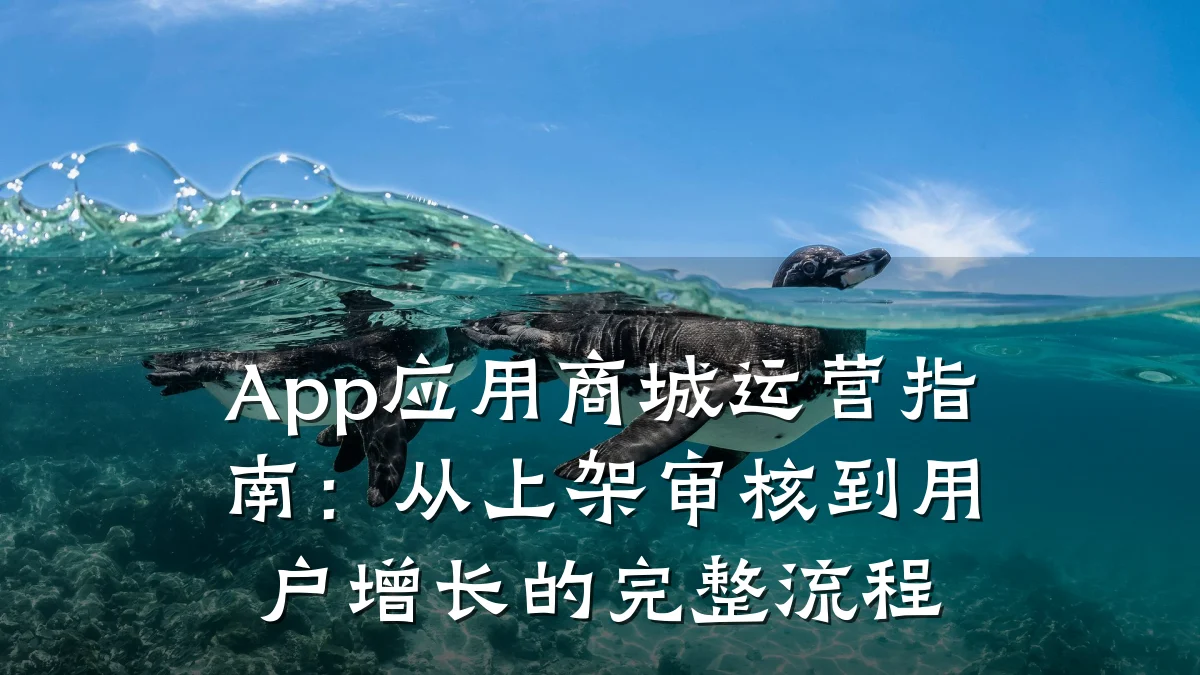 App应用商城运营指南：从上架审核到用户增长的完整流程