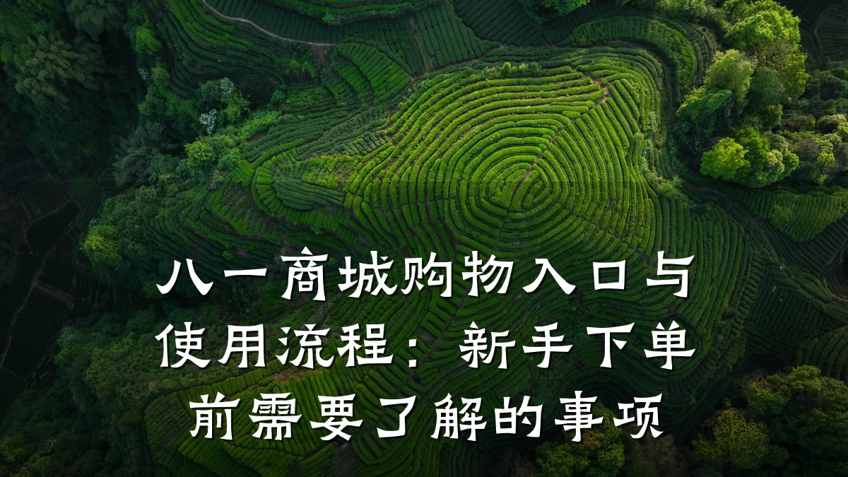 八一商城购物入口与使用流程：新手下单前需要了解的事项