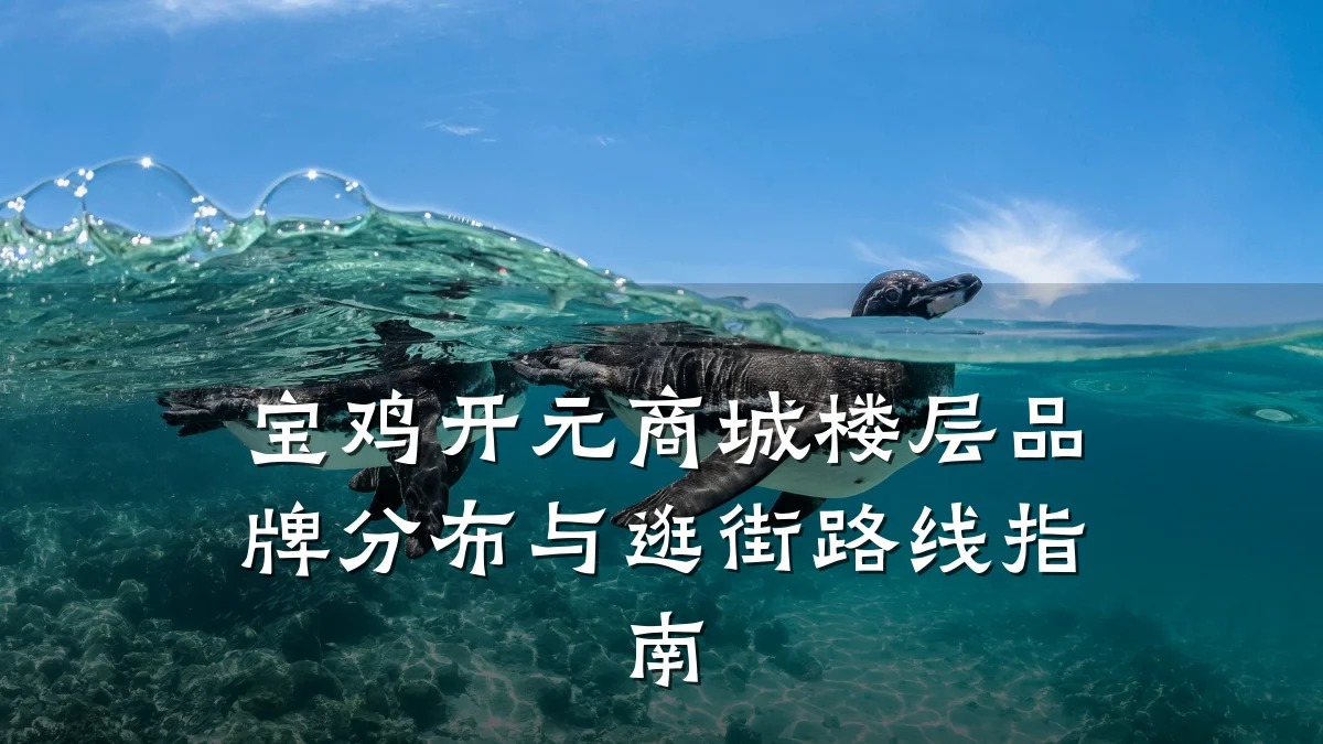 宝鸡开元商城楼层品牌分布与逛街路线指南
