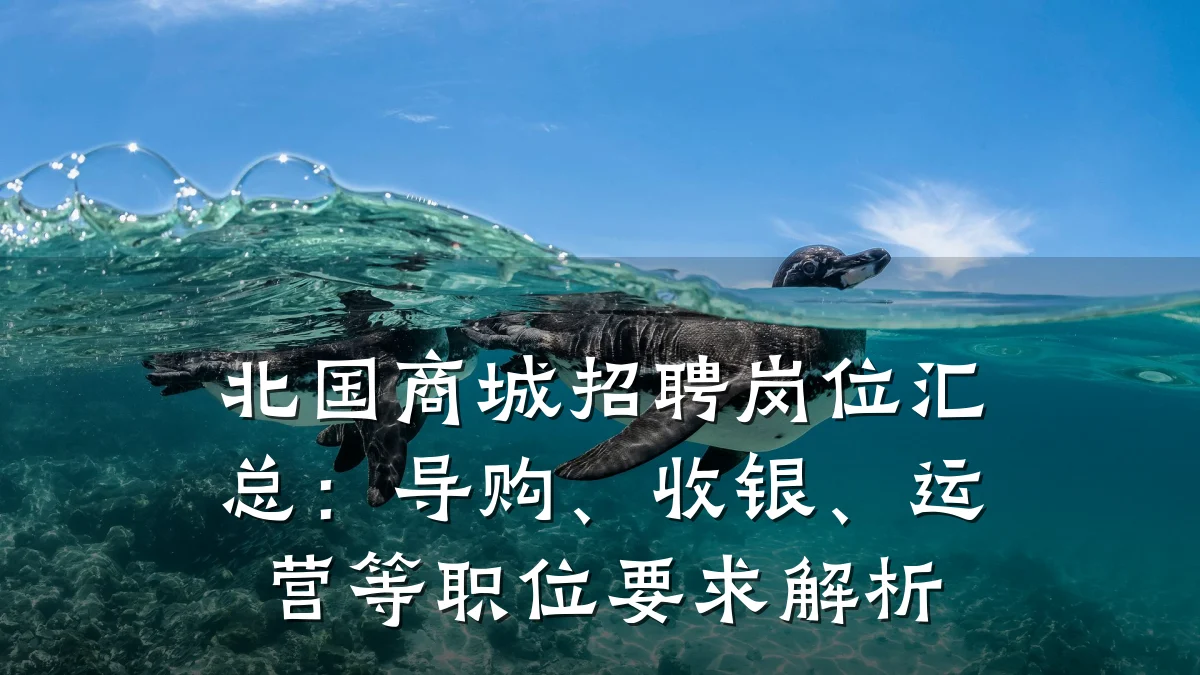 北国商城招聘岗位汇总:导购、收银、运营等职位要求解析