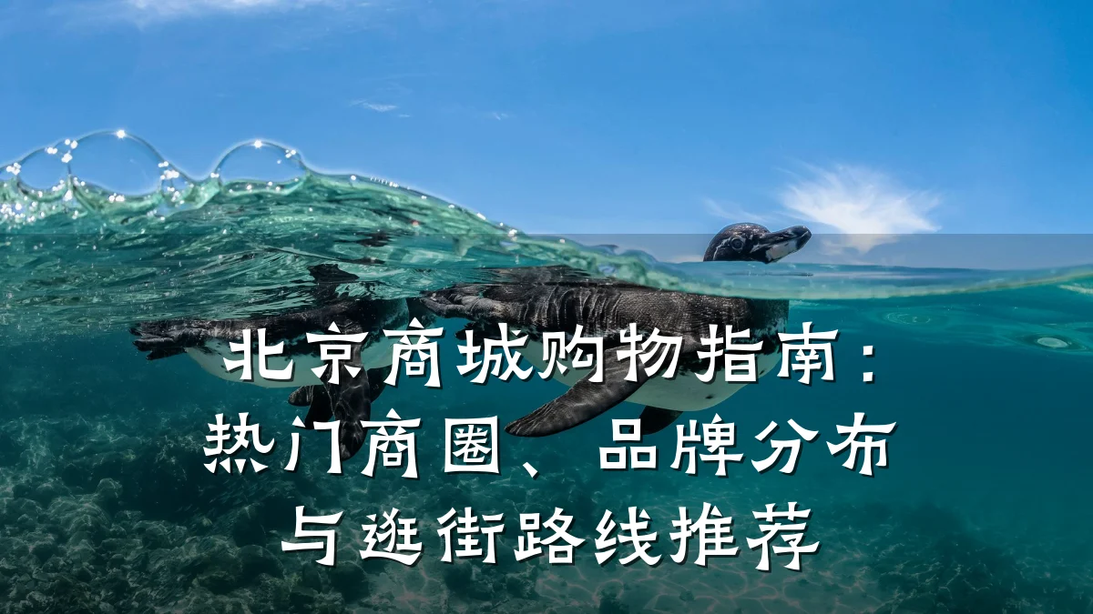 北京商城购物指南：热门商圈、品牌分布与逛街路线推荐