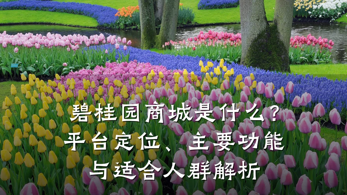 碧桂园商城是什么？平台定位、主要功能与适合人群解析