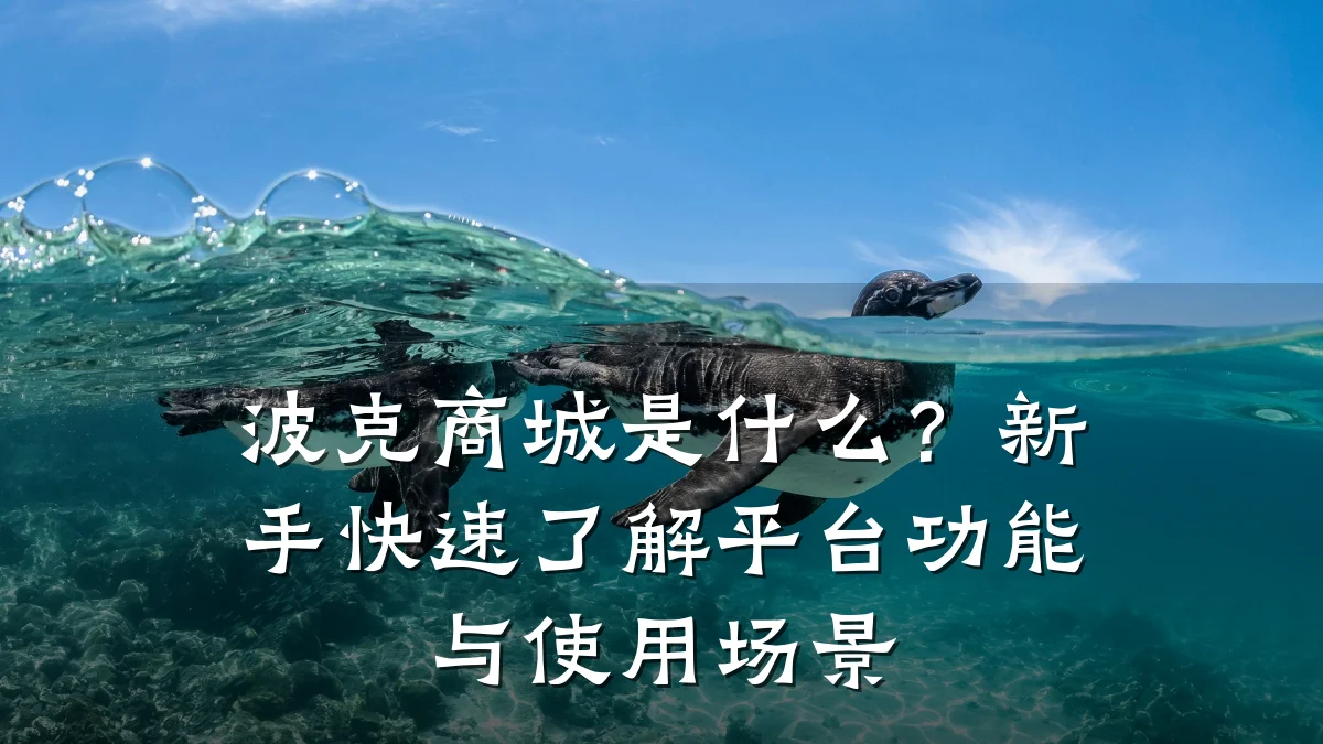 波克商城是什么？新手快速了解平台功能与使用场景