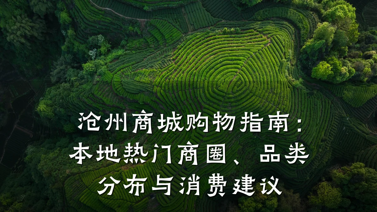 沧州商城购物指南:本地热门商圈、品类分布与消费建议