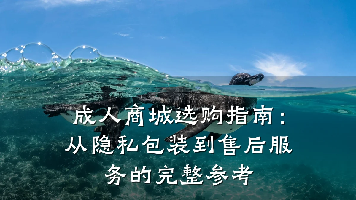 成人商城选购指南:从隐私包装到售后服务的完整参考
