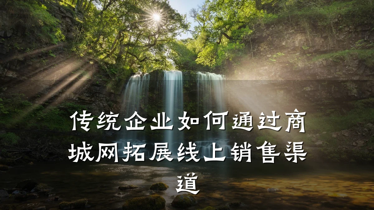 传统企业如何通过商城网拓展线上销售渠道