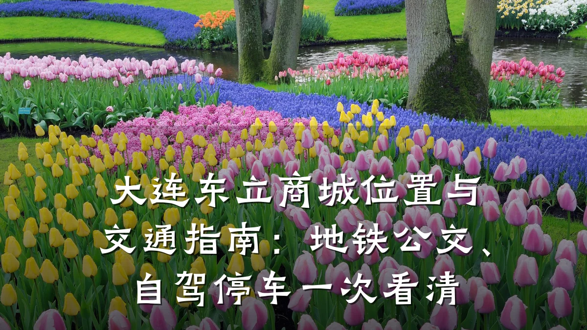 大连东立商城位置与交通指南:地铁公交、自驾停车一次看清