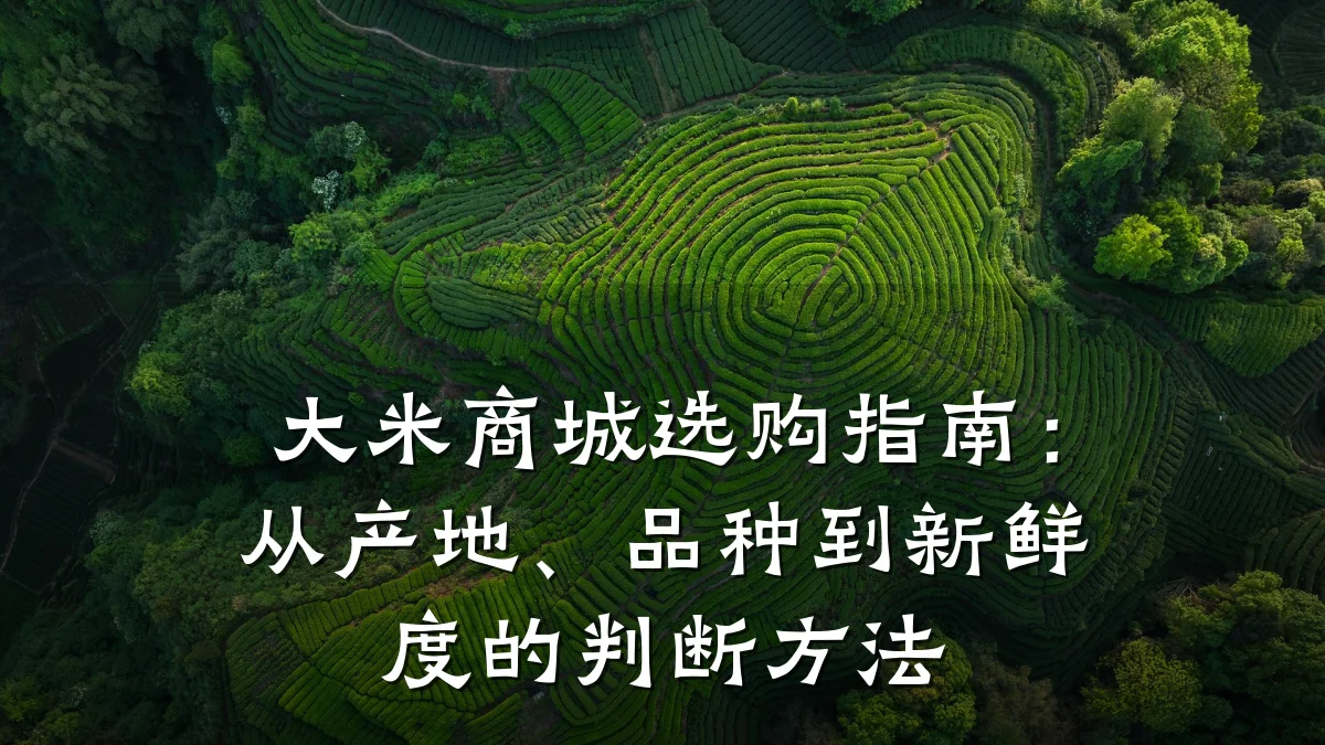 大米商城选购指南：从产地、品种到新鲜度的判断方法