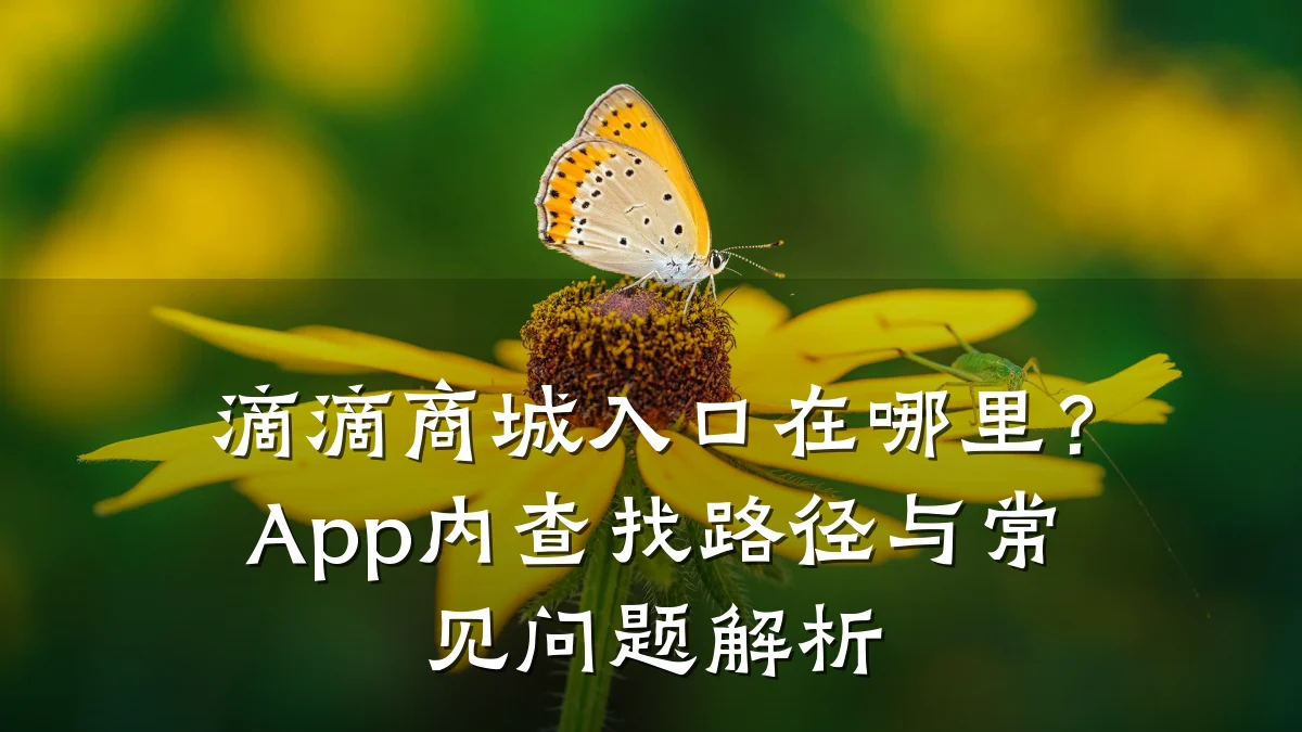 滴滴商城入口在哪里?App内查找路径与常见问题解析