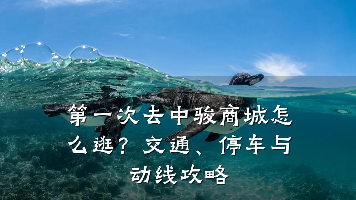 第一次去中骏商城怎么逛？交通、停车与动线攻略