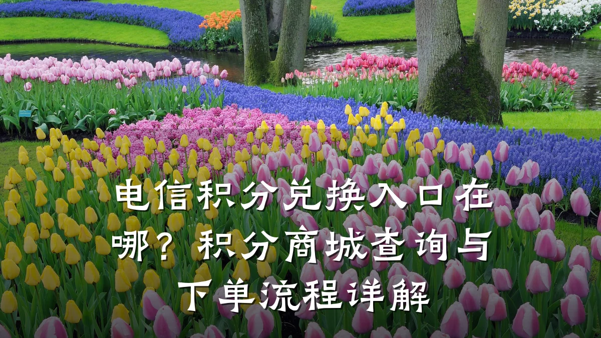 电信积分兑换入口在哪？积分商城查询与下单流程详解