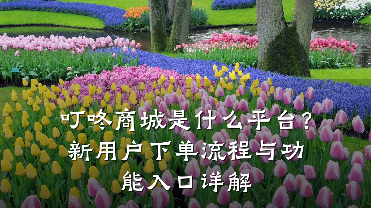 叮咚商城是什么平台？新用户下单流程与功能入口详解