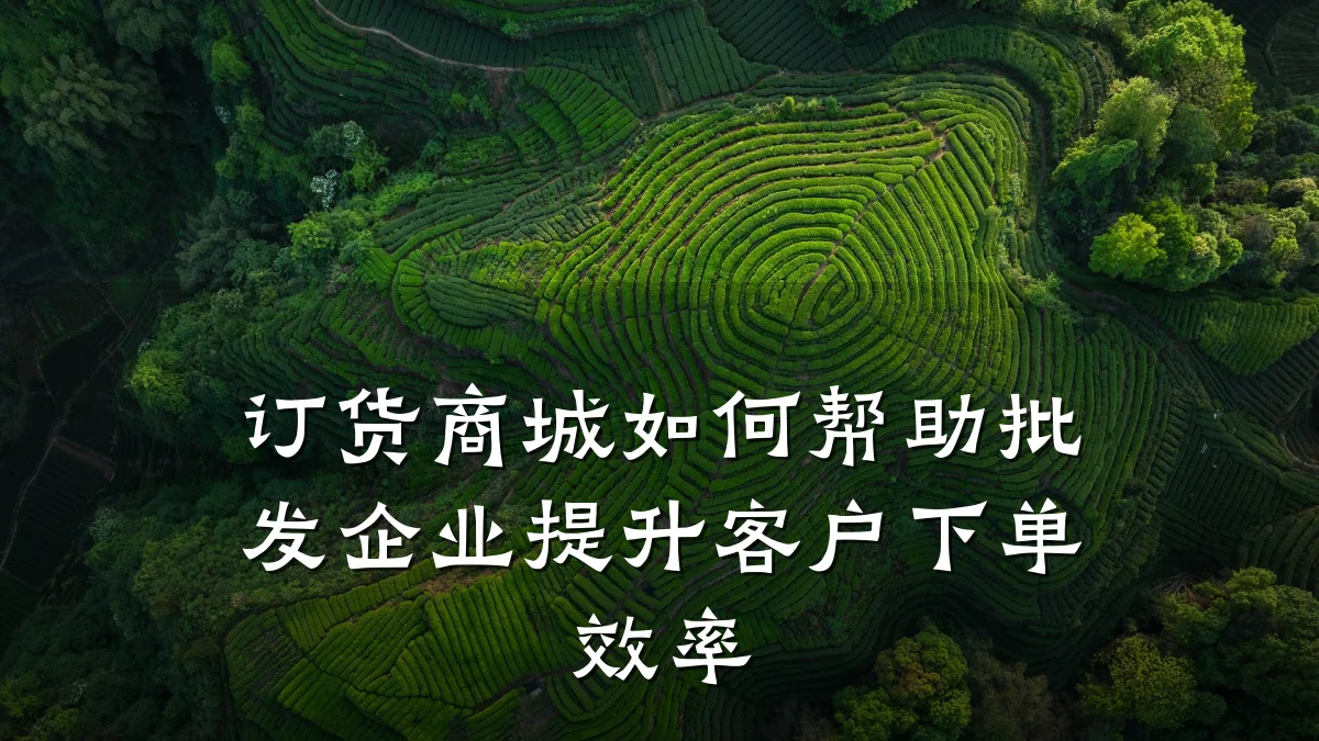 订货商城如何帮助批发企业提升客户下单效率