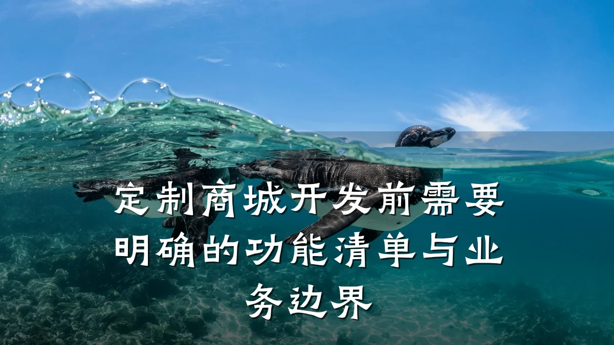 定制商城开发前需要明确的功能清单与业务边界