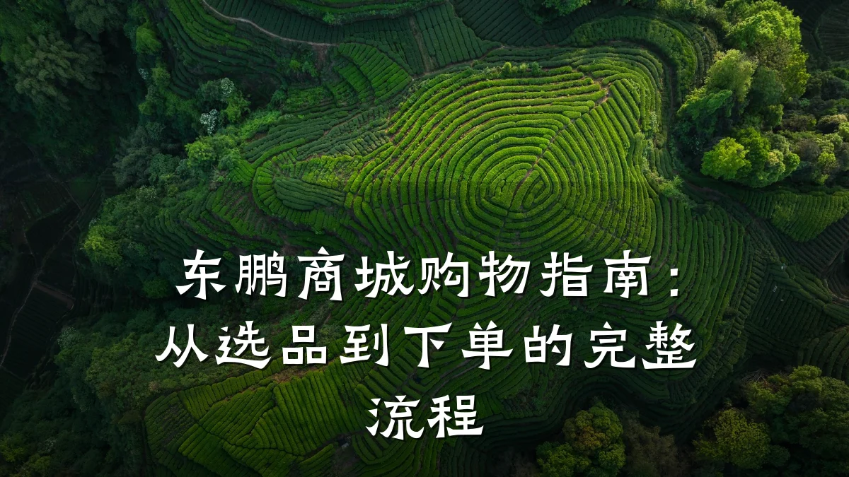 东鹏商城购物指南：从选品到下单的完整流程