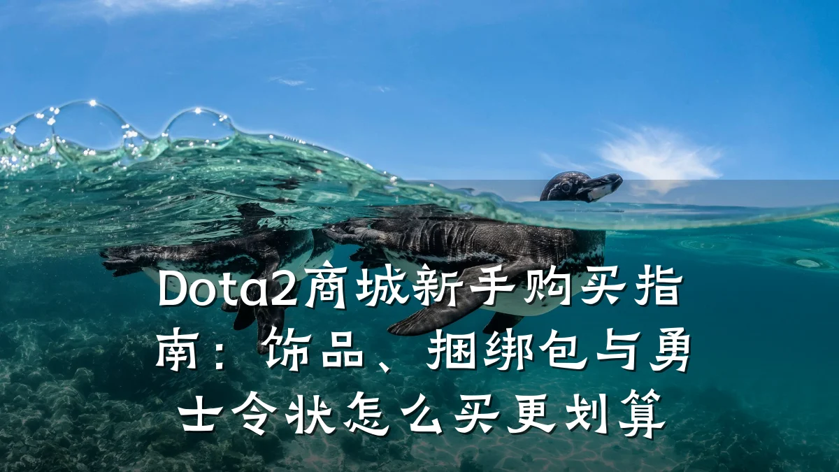 Dota2商城新手购买指南：饰品、捆绑包与勇士令状怎么买更划算