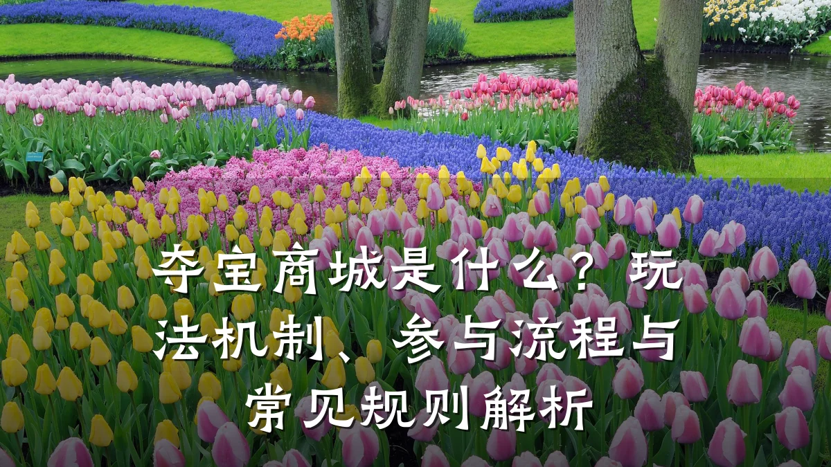 夺宝商城是什么？玩法机制、参与流程与常见规则解析