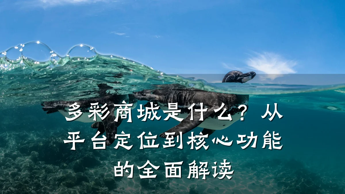 多彩商城是什么?从平台定位到核心功能的全面解读