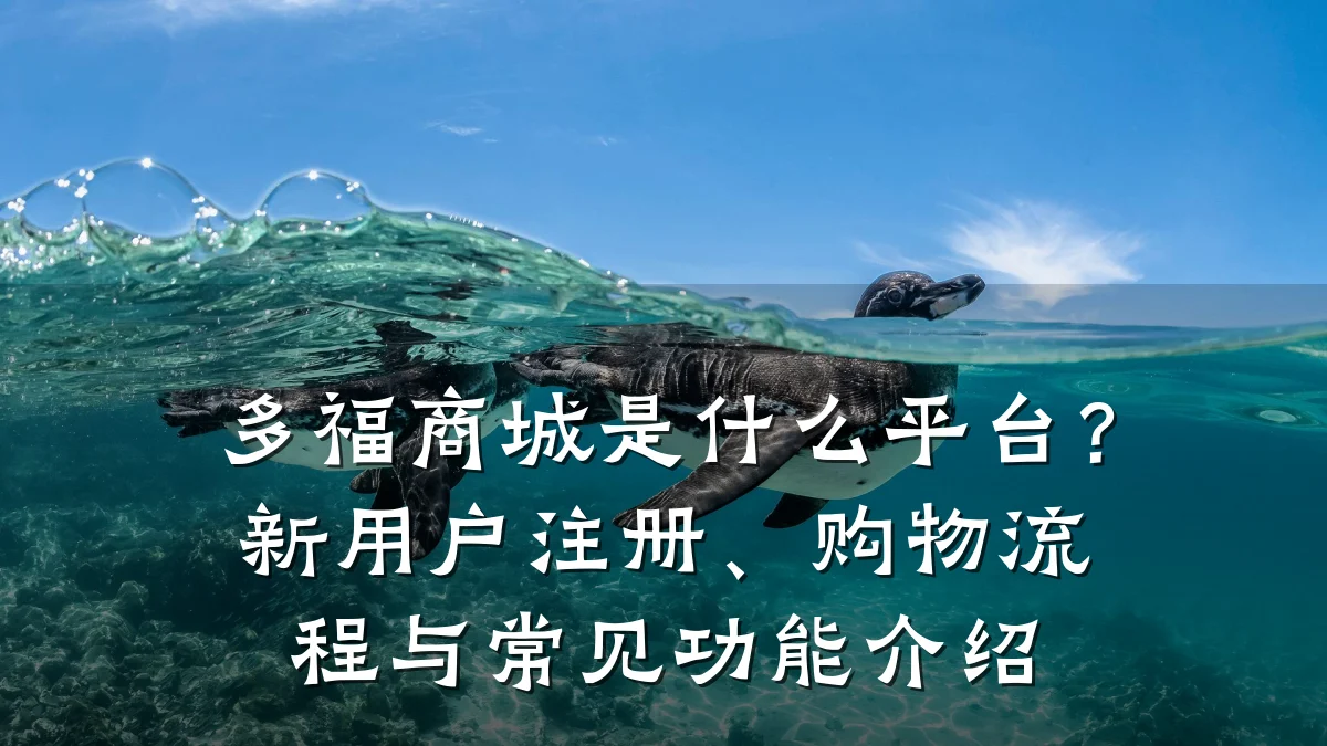 多福商城是什么平台？新用户注册、购物流程与常见功能介绍