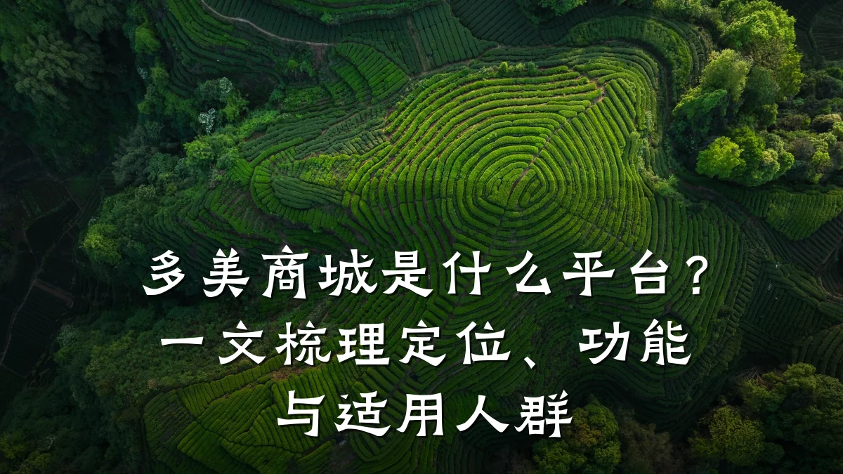 多美商城是什么平台？一文梳理定位、功能与适用人群