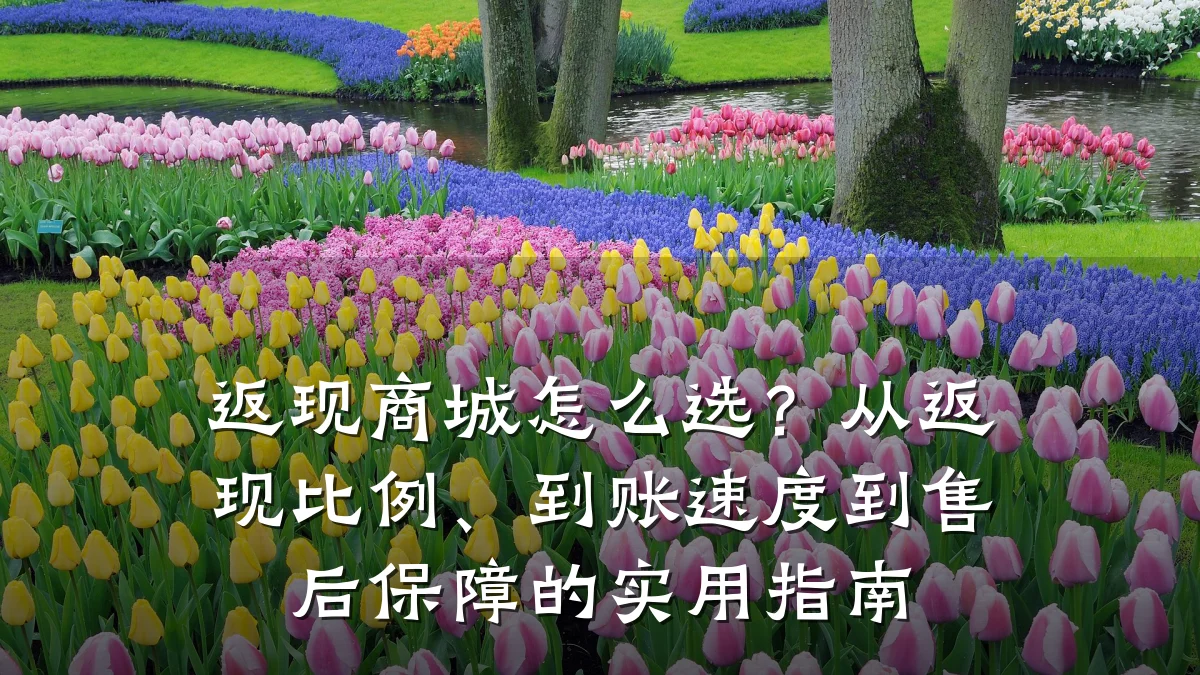返现商城怎么选？从返现比例、到账速度到售后保障的实用指南