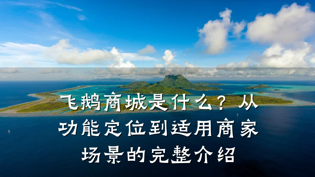 飞鹅商城是什么？从功能定位到适用商家场景的完整介绍