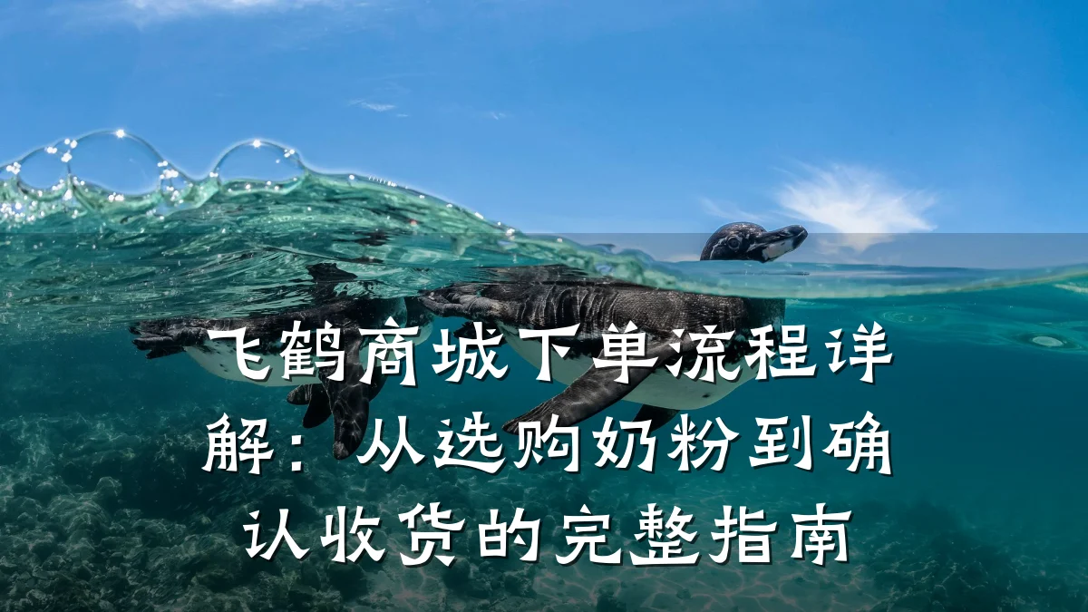 飞鹤商城下单流程详解:从选购奶粉到确认收货的完整指南