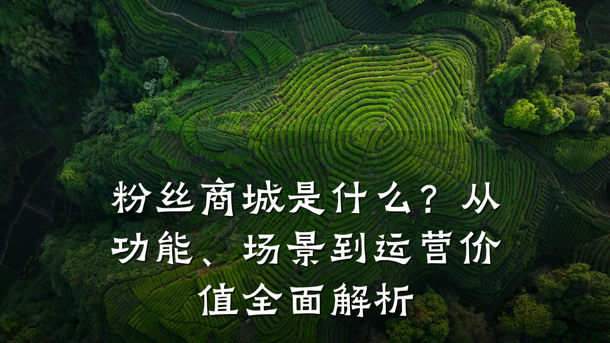 粉丝商城是什么？从功能、场景到运营价值全面解析