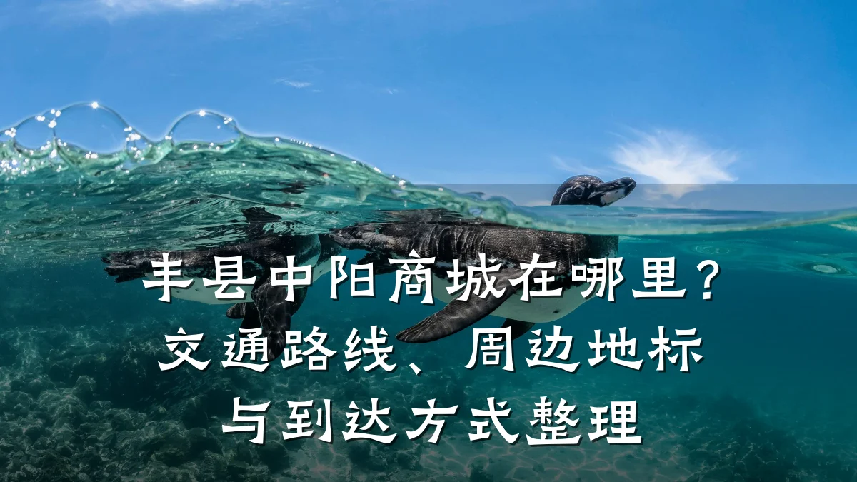 丰县中阳商城在哪里？交通路线、周边地标与到达方式整理
