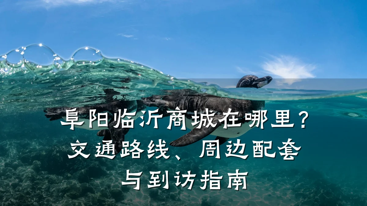 阜阳临沂商城在哪里?交通路线、周边配套与到访指南