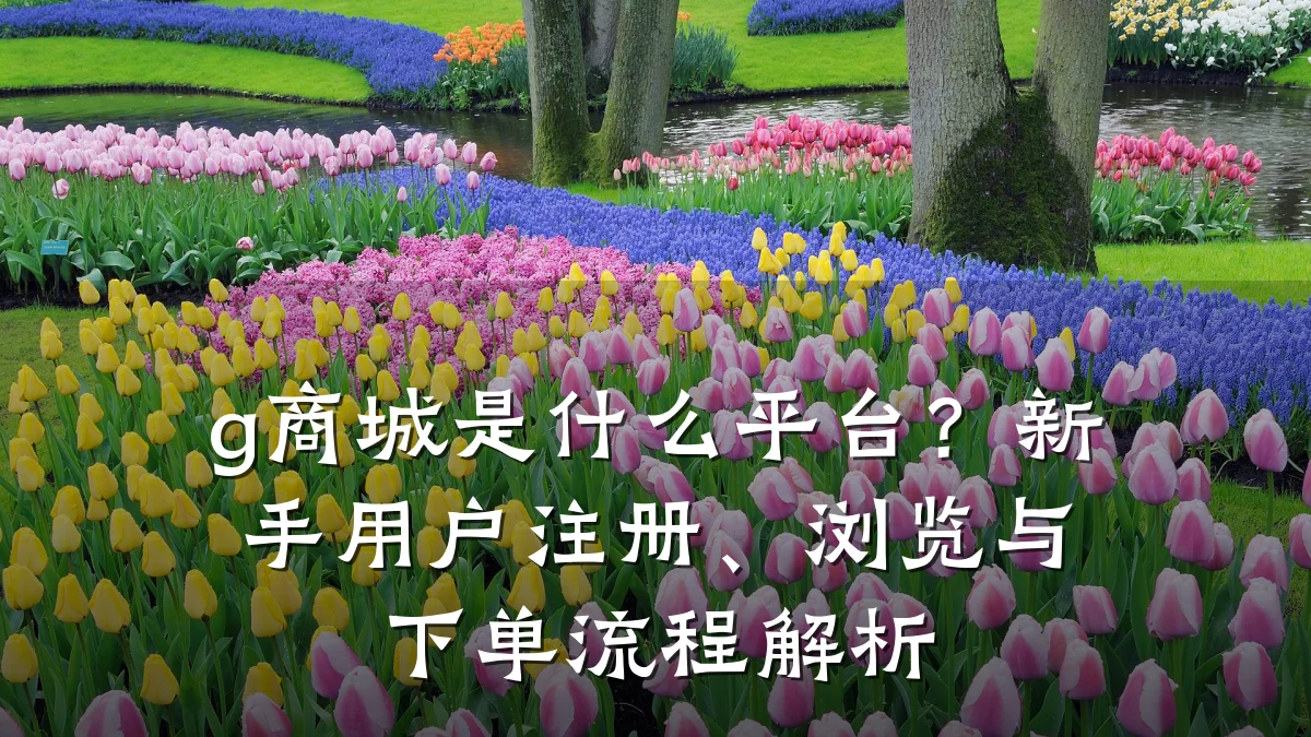 g商城是什么平台？新手用户注册、浏览与下单流程解析