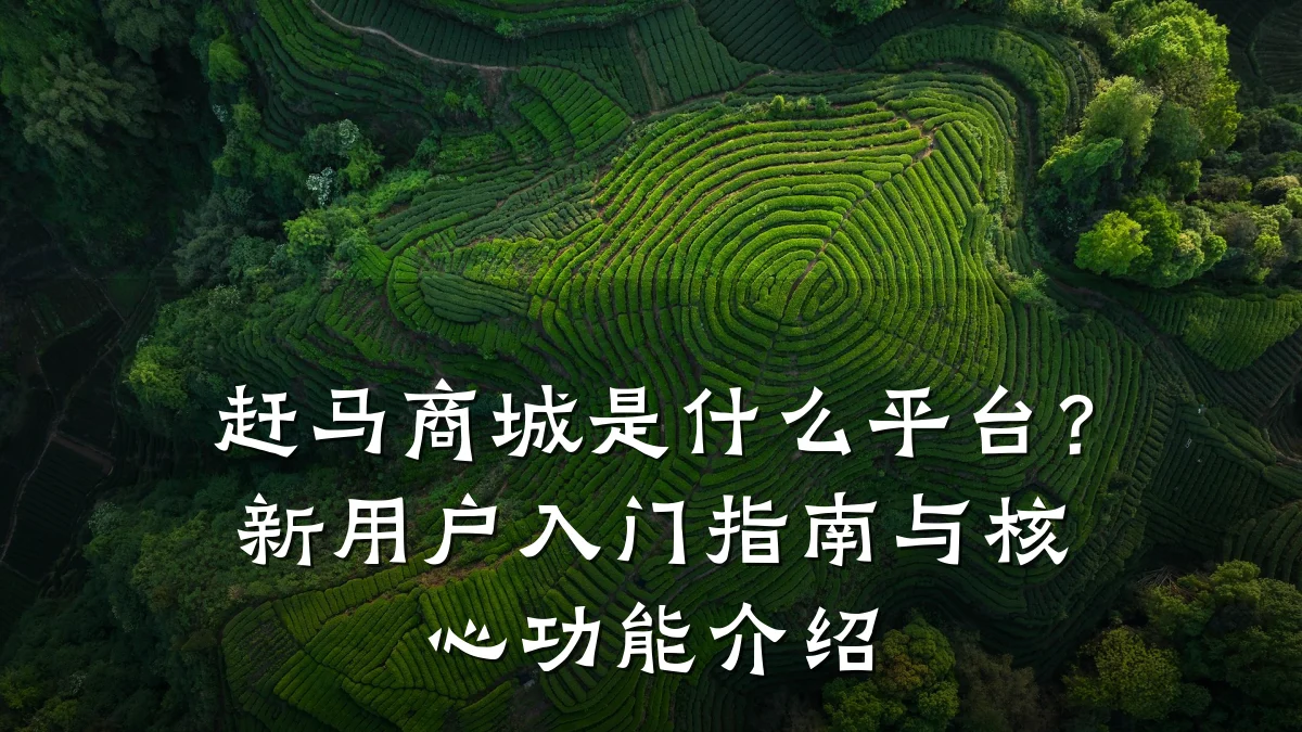 赶马商城是什么平台？新用户入门指南与核心功能介绍