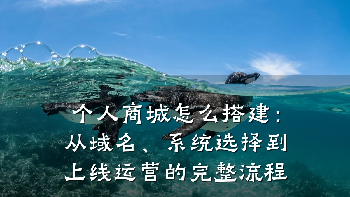 个人商城怎么搭建：从域名、系统选择到上线运营的完整流程