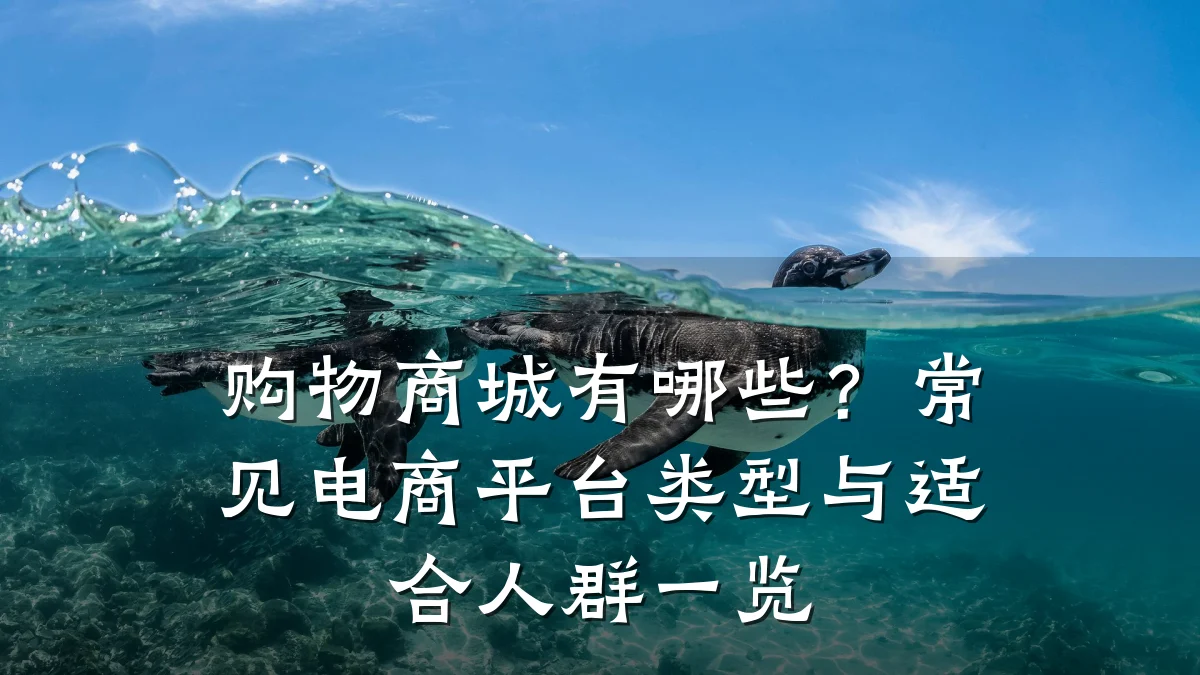 购物商城有哪些?常见电商平台类型与适合人群一览