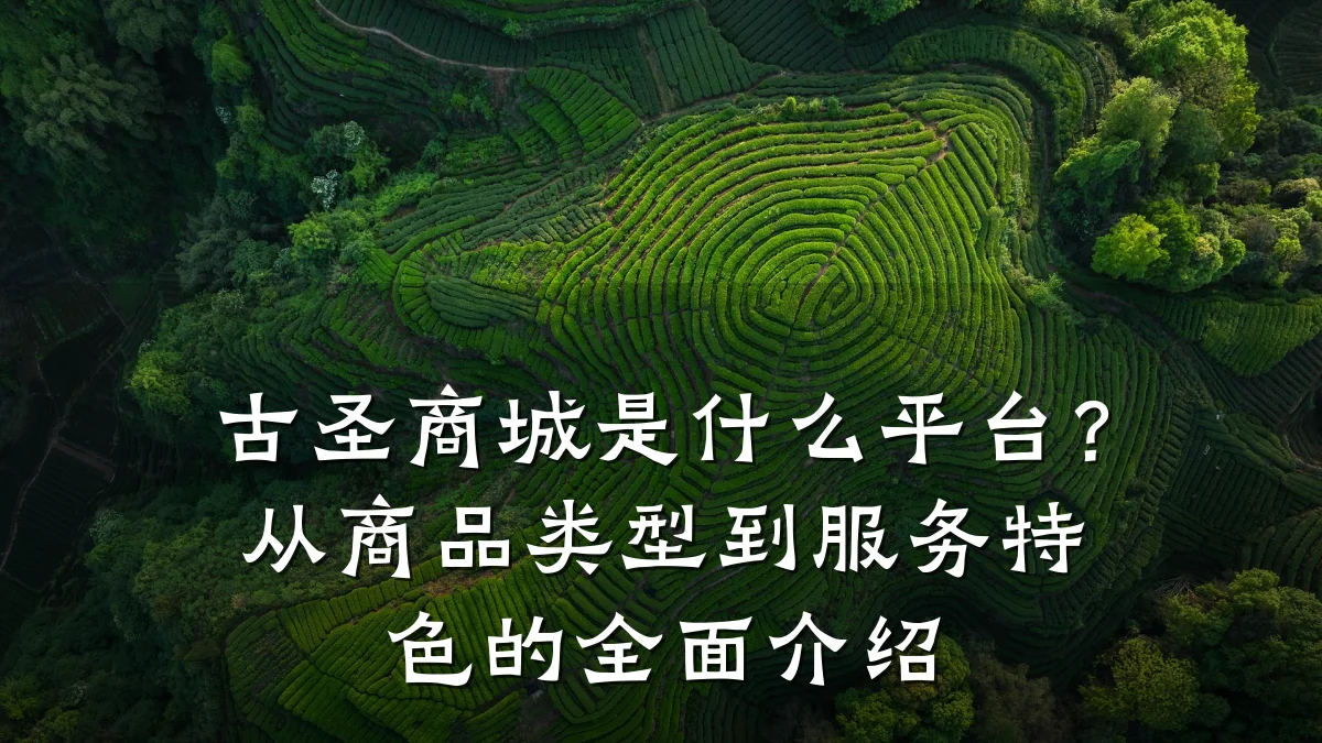 古圣商城是什么平台？从商品类型到服务特色的全面介绍