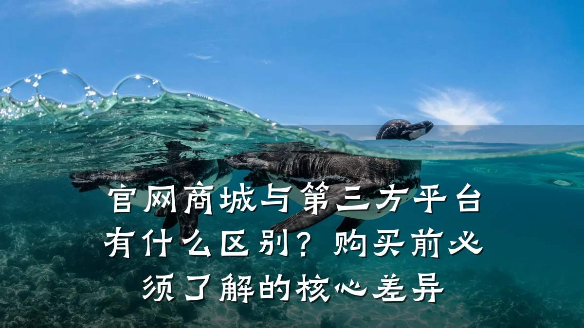 官网商城与第三方平台有什么区别?购买前必须了解的核心差异