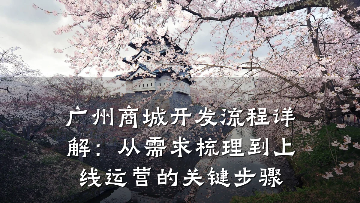 广州商城开发流程详解：从需求梳理到上线运营的关键步骤