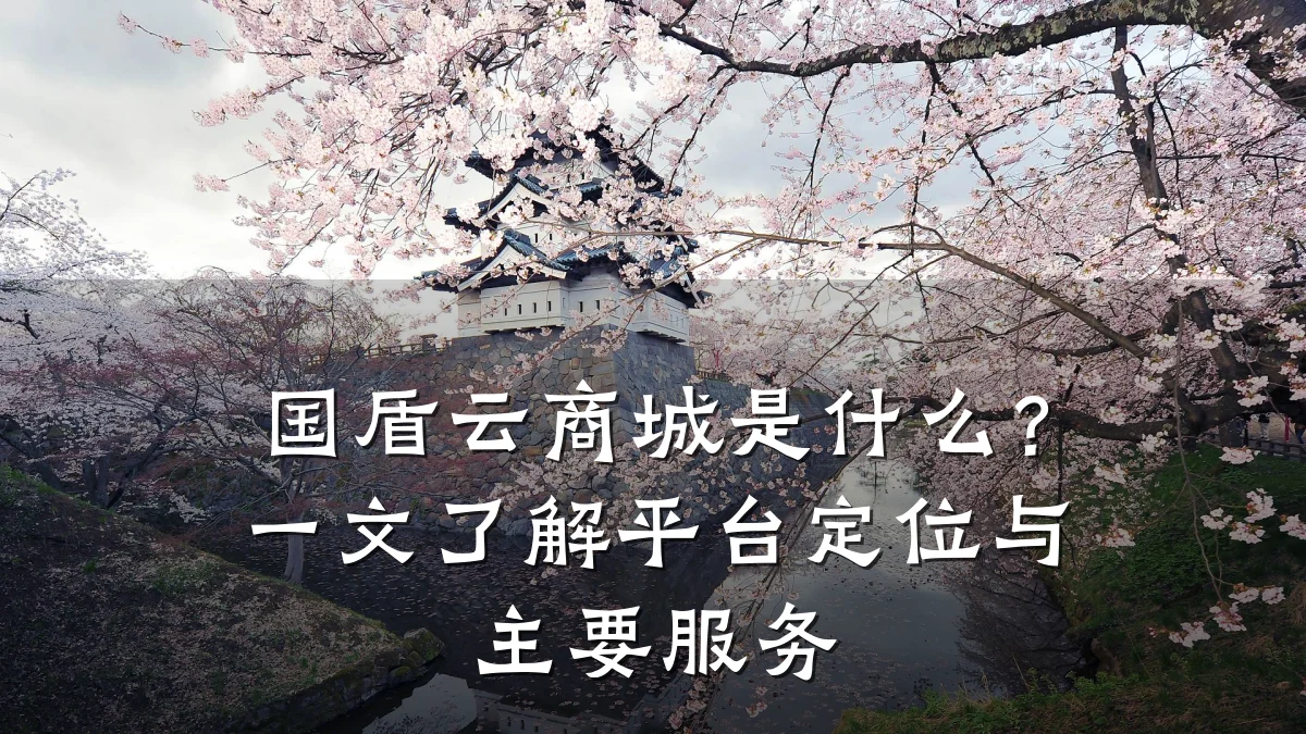 国盾云商城是什么？一文了解平台定位与主要服务