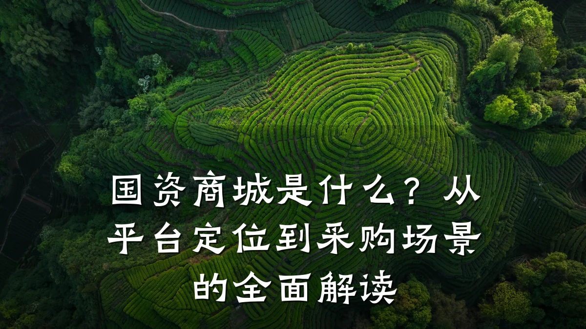 国资商城是什么?从平台定位到采购场景的全面解读