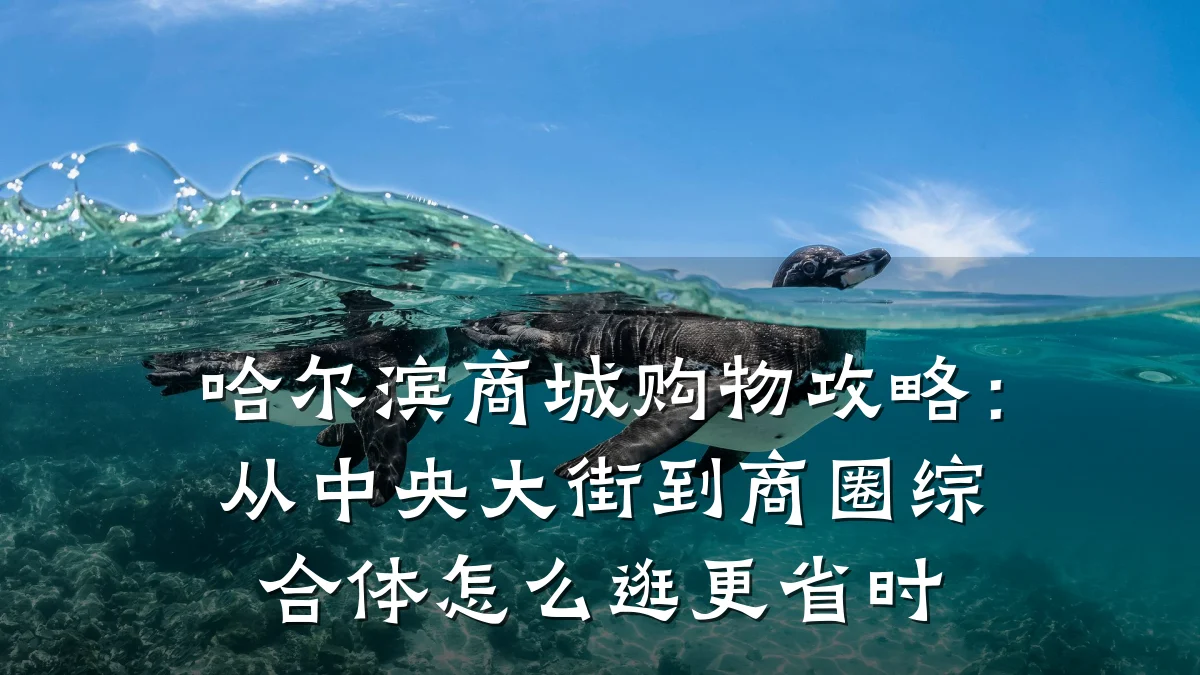 哈尔滨商城购物攻略：从中央大街到商圈综合体怎么逛更省时