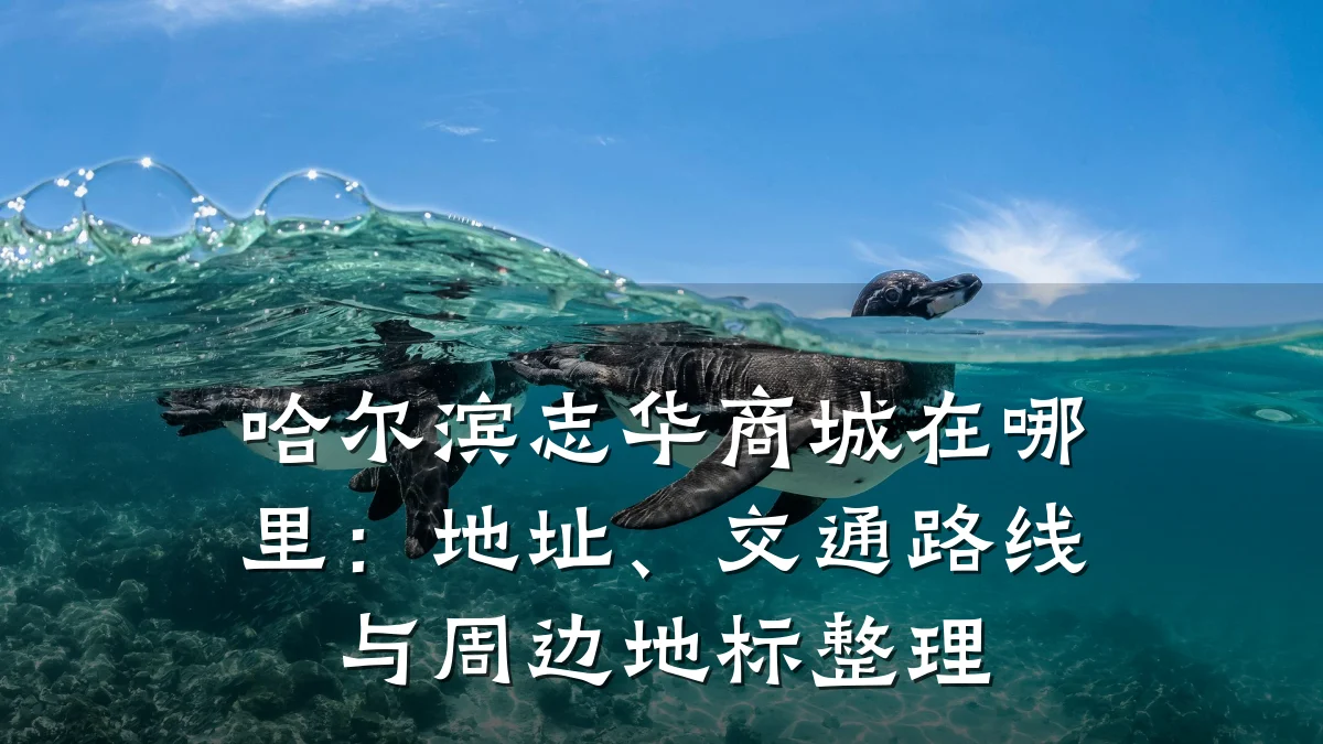 哈尔滨志华商城在哪里：地址、交通路线与周边地标整理