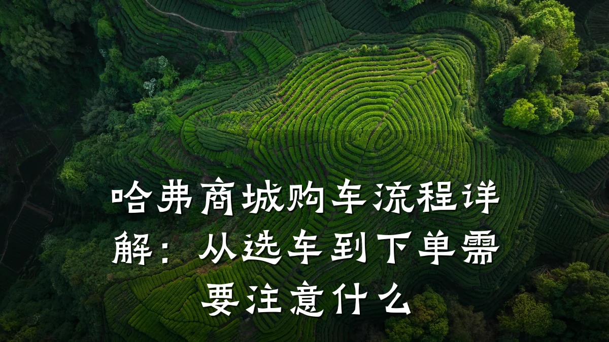 哈弗商城购车流程详解：从选车到下单需要注意什么