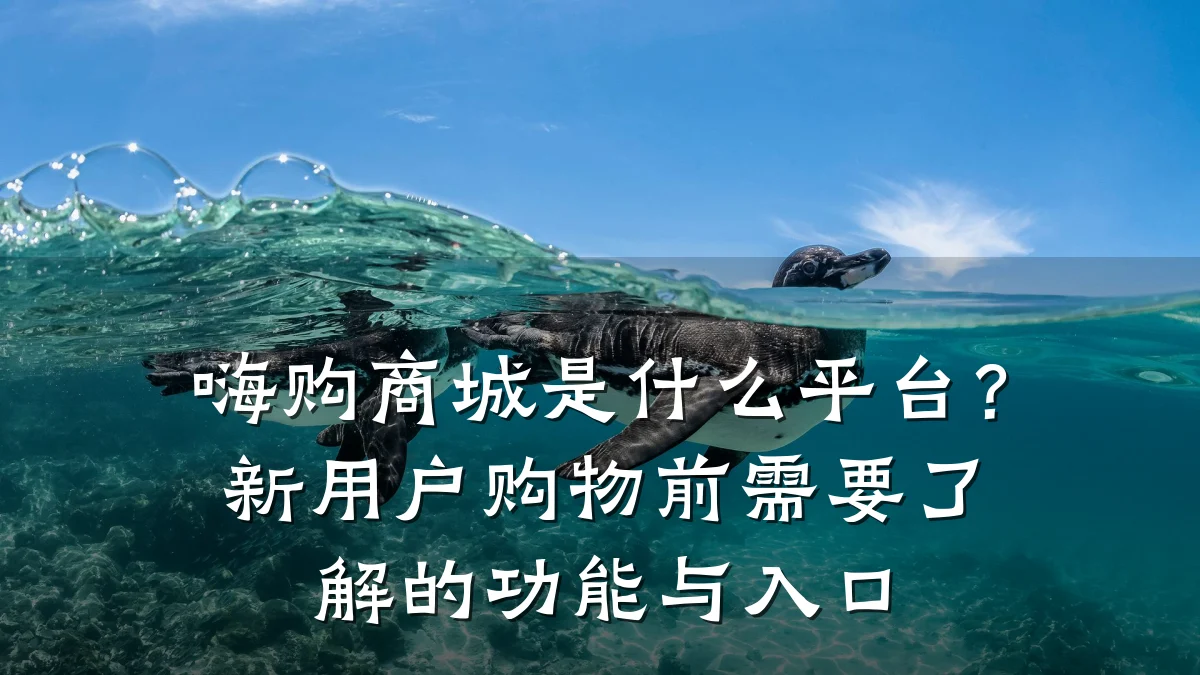 嗨购商城是什么平台？新用户购物前需要了解的功能与入口