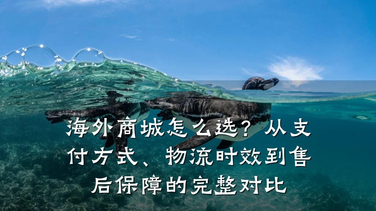 海外商城怎么选？从支付方式、物流时效到售后保障的完整对比