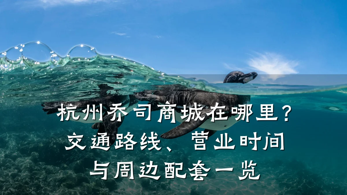 杭州乔司商城在哪里?交通路线、营业时间与周边配套一览
