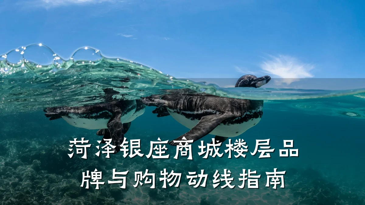 菏泽银座商城楼层品牌与购物动线指南