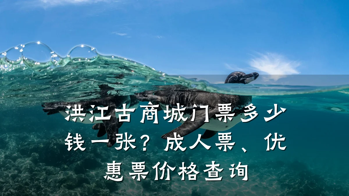 洪江古商城门票多少钱一张?成人票、优惠票价格查询
