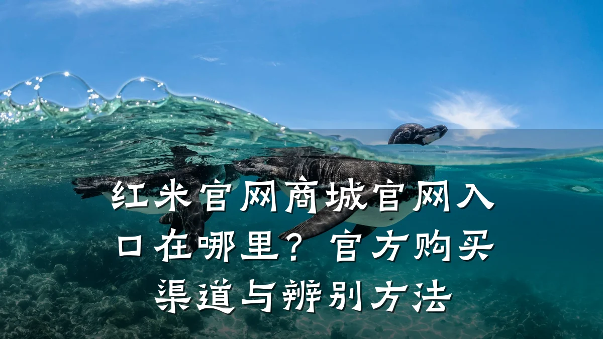 红米官网商城官网入口在哪里?官方购买渠道与辨别方法